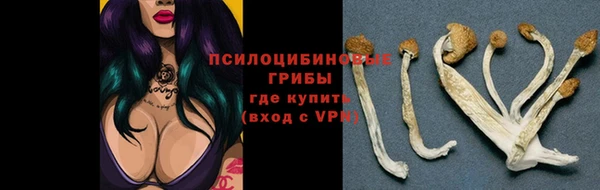 а пвп мука Армянск