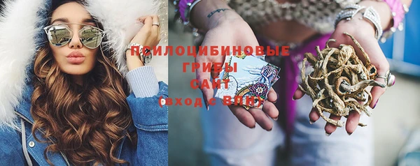 а пвп мука Армянск