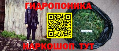 тгк Тара