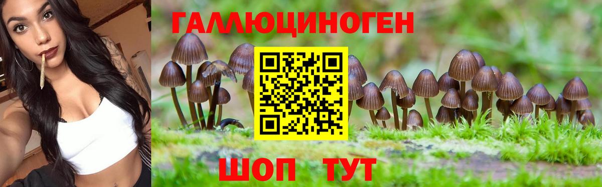 Псилоцибиновые грибы прущие грибы  Вход с VPN  Балашиха  Псилоцибиновые грибы мухоморы 