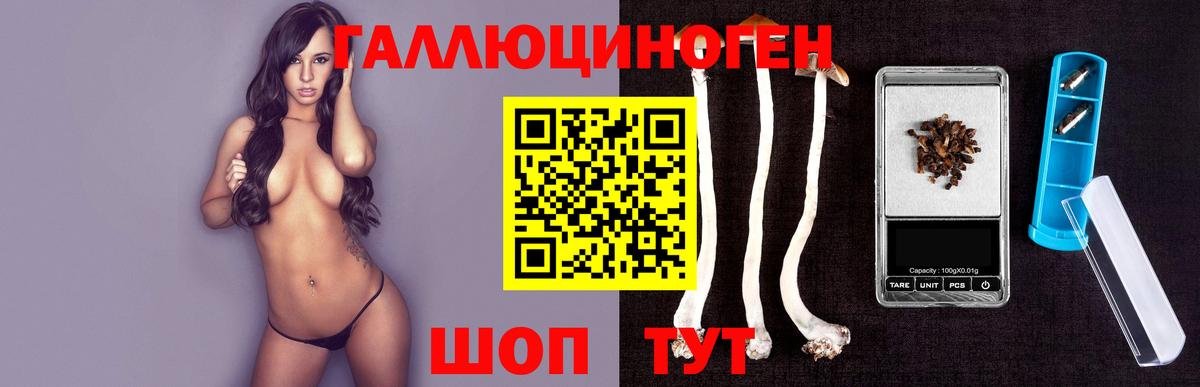 Псилоцибиновые грибы Psilocybe Балашиха